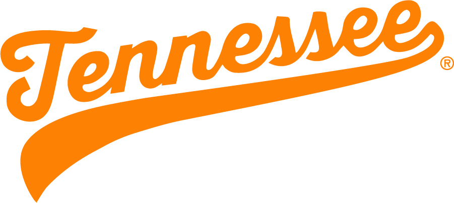 Tennessee Volunteers 2020-Pres Wordmark Logo diy iron on heat transfer